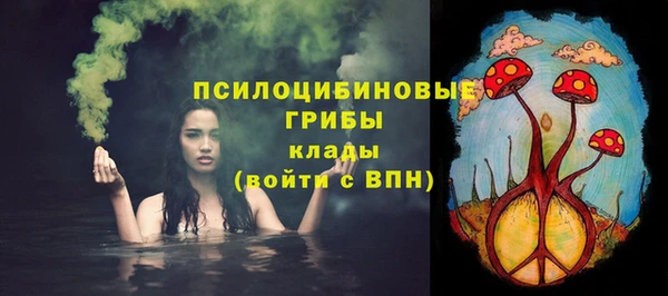 гидра Нея
