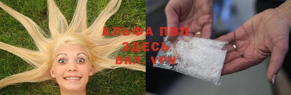 гидра Нея