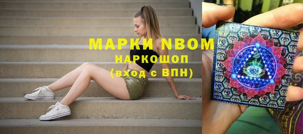 гидра Нея